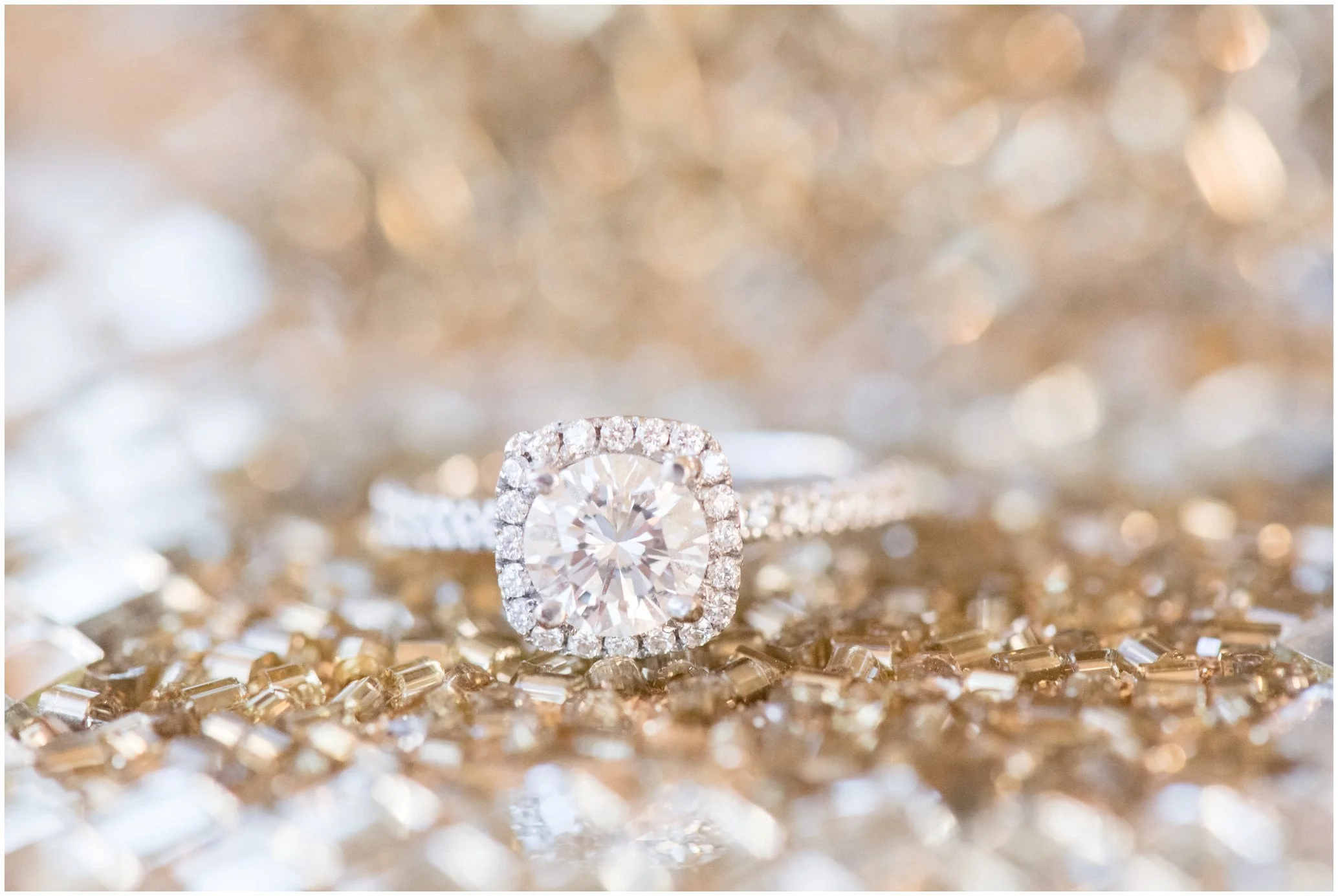 The finished product!!!! The settings I used for this particular image was ISO 5000, 1/250, F9.0 with the macro lens of course! Natural window light used.